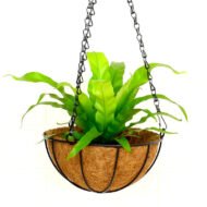 Chlorophytum Pot Balcony Flower Stand - Image 4