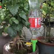 Automatic Watering Device - Image 3