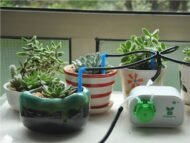 Automatic watering device - Image 3