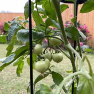 Household European-style Plant Flower Stand Lattice - Image 4