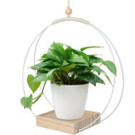 Hanging Flower Pot Plant Bracket Air Green Plant Flower Pot Decoration - Image 10